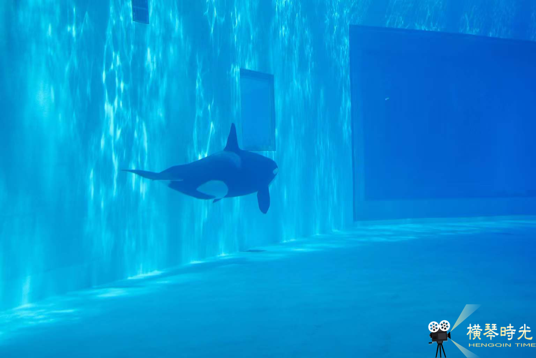 横琴文旅新貌：十年蜕变，国际休闲旅游岛初现