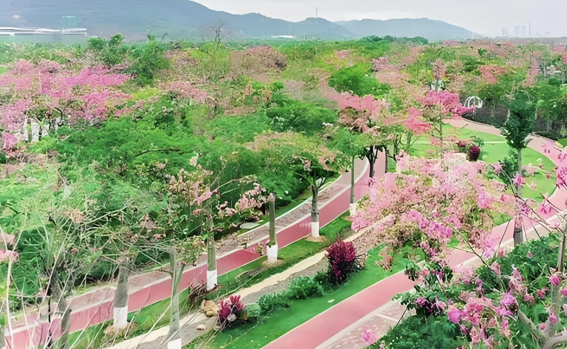 横琴旅游必去的4个景点