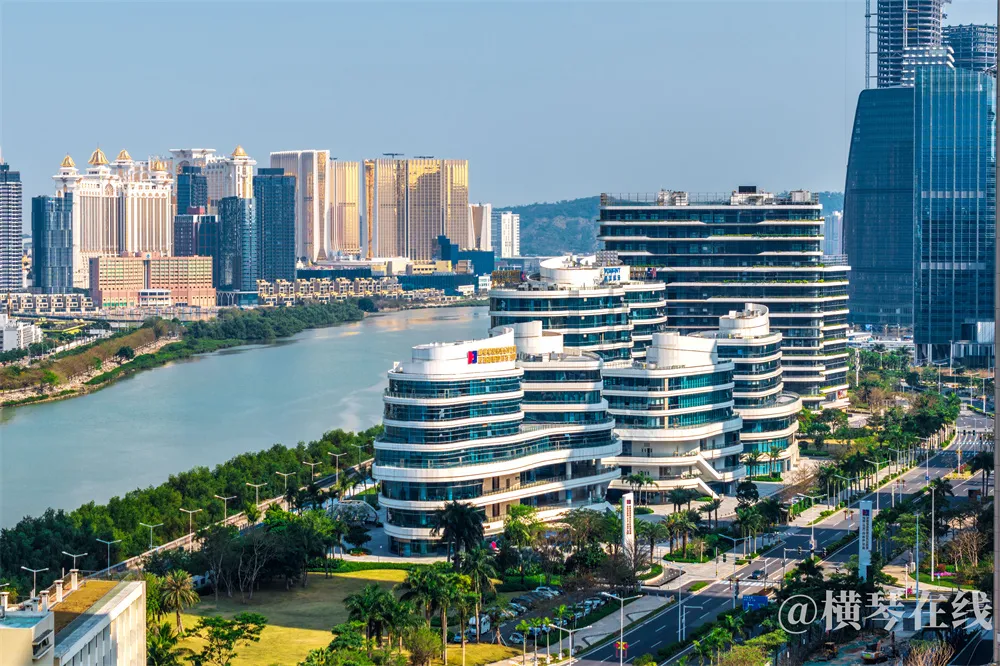 2025年横琴秋季入学摇号安排全解析：时间、地点、名单及流程