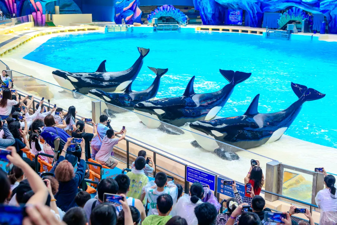 长隆飞船乐园一周年庆："鲸像奖"投票开启 万份好礼等你拿