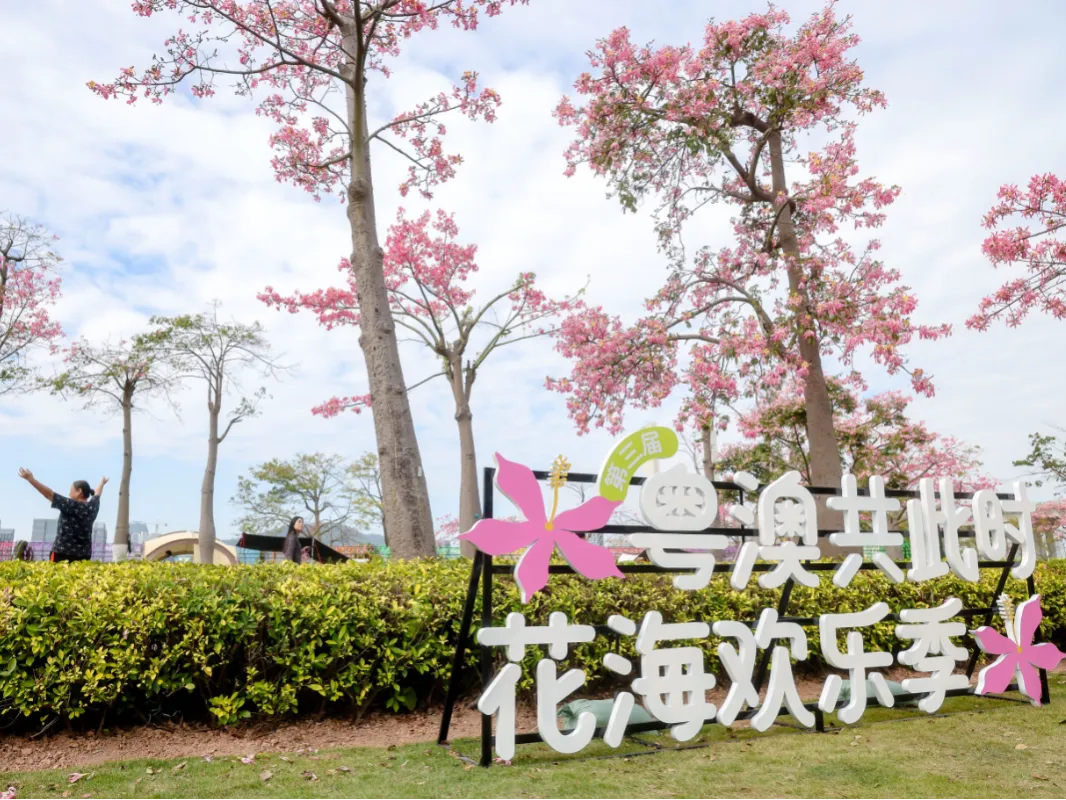 横琴万人赏花景，体验多元文化新活力，第三届“粤澳共此时”花海欢乐季圆满落幕