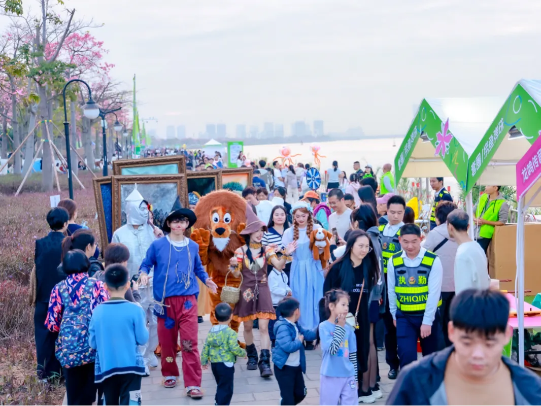横琴万人赏花景,体验多元文化新活力,第三届“粤澳共此时”花海欢乐季圆满落幕
