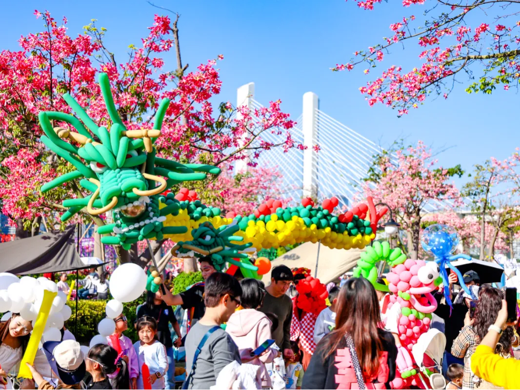 横琴万人赏花景,体验多元文化新活力,第三届“粤澳共此时”花海欢乐季圆满落幕