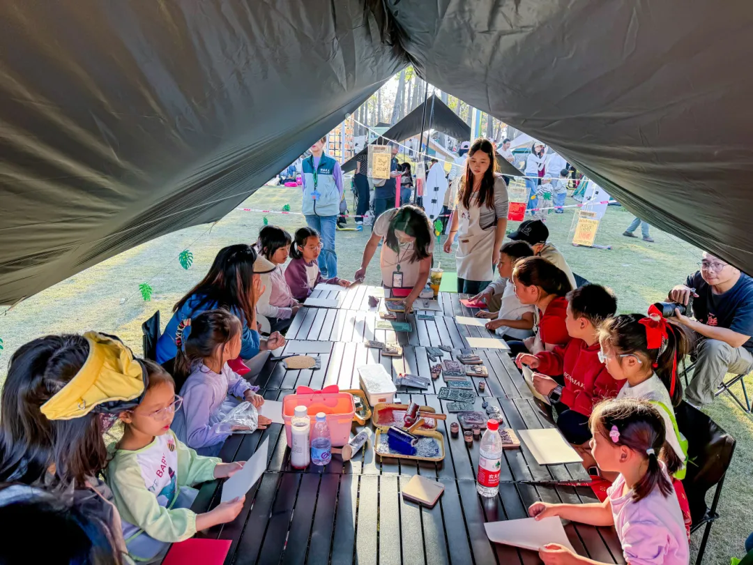横琴万人赏花景,体验多元文化新活力,第三届“粤澳共此时”花海欢乐季圆满落幕