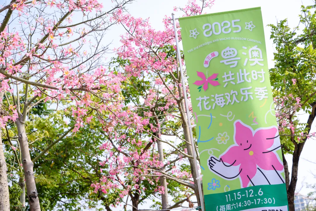 横琴赴湘赣高校揽才，超三成岗位年薪20-50万