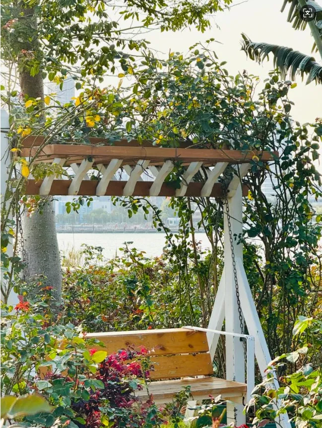 骑行赏花正当时,共赴横琴花海长廊之约:全运同款赛道,解锁秋冬限定浪漫