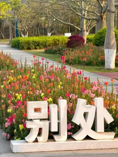 骑行赏花正当时,共赴横琴花海长廊之约:全运同款赛道,解锁秋冬限定浪漫