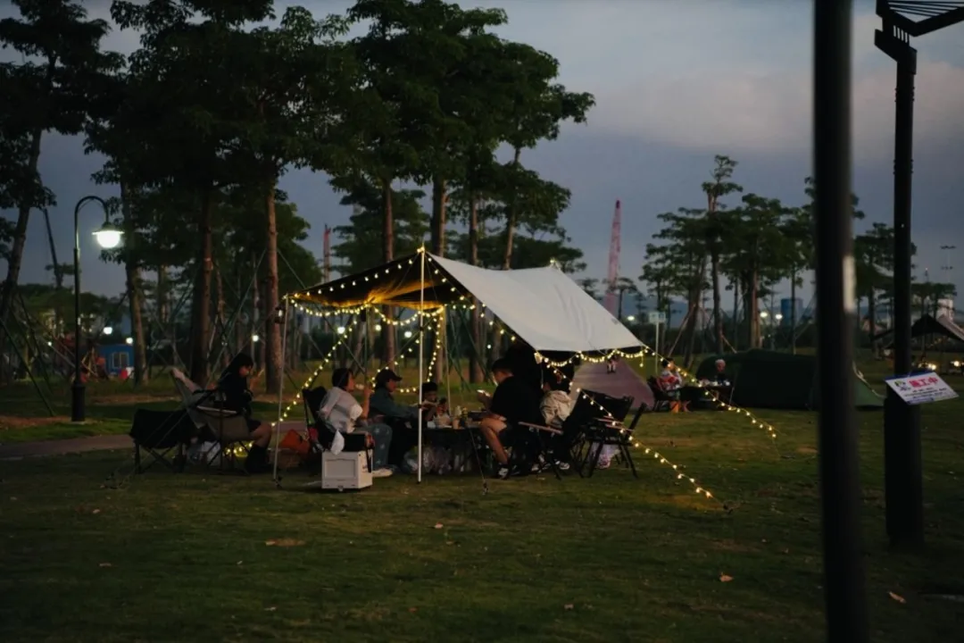 骑行赏花正当时,共赴横琴花海长廊之约:全运同款赛道,解锁秋冬限定浪漫