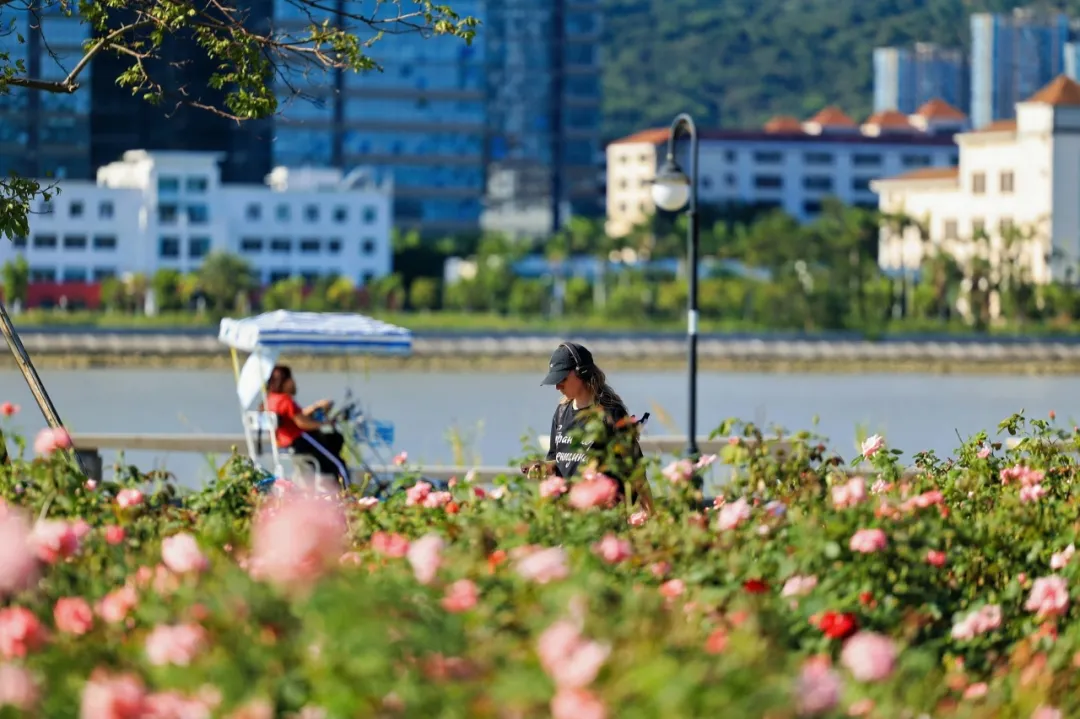 横琴春日踏青游玩终极指南：五大生态秘境解锁松弛感，附详细玩法与路线