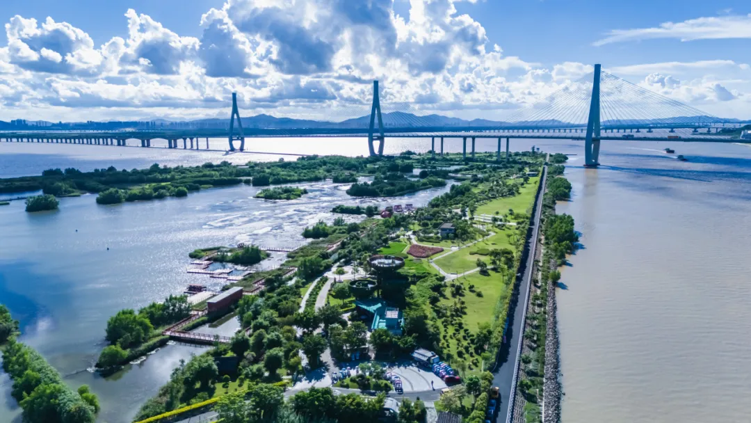 横琴春日踏青游玩终极指南：五大生态秘境解锁松弛感，附详细玩法与路线