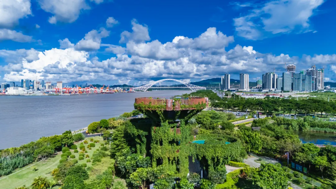 横琴春日踏青游玩终极指南：五大生态秘境解锁松弛感，附详细玩法与路线