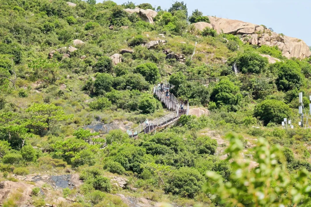 横琴春日踏青游玩终极指南：五大生态秘境解锁松弛感，附详细玩法与路线